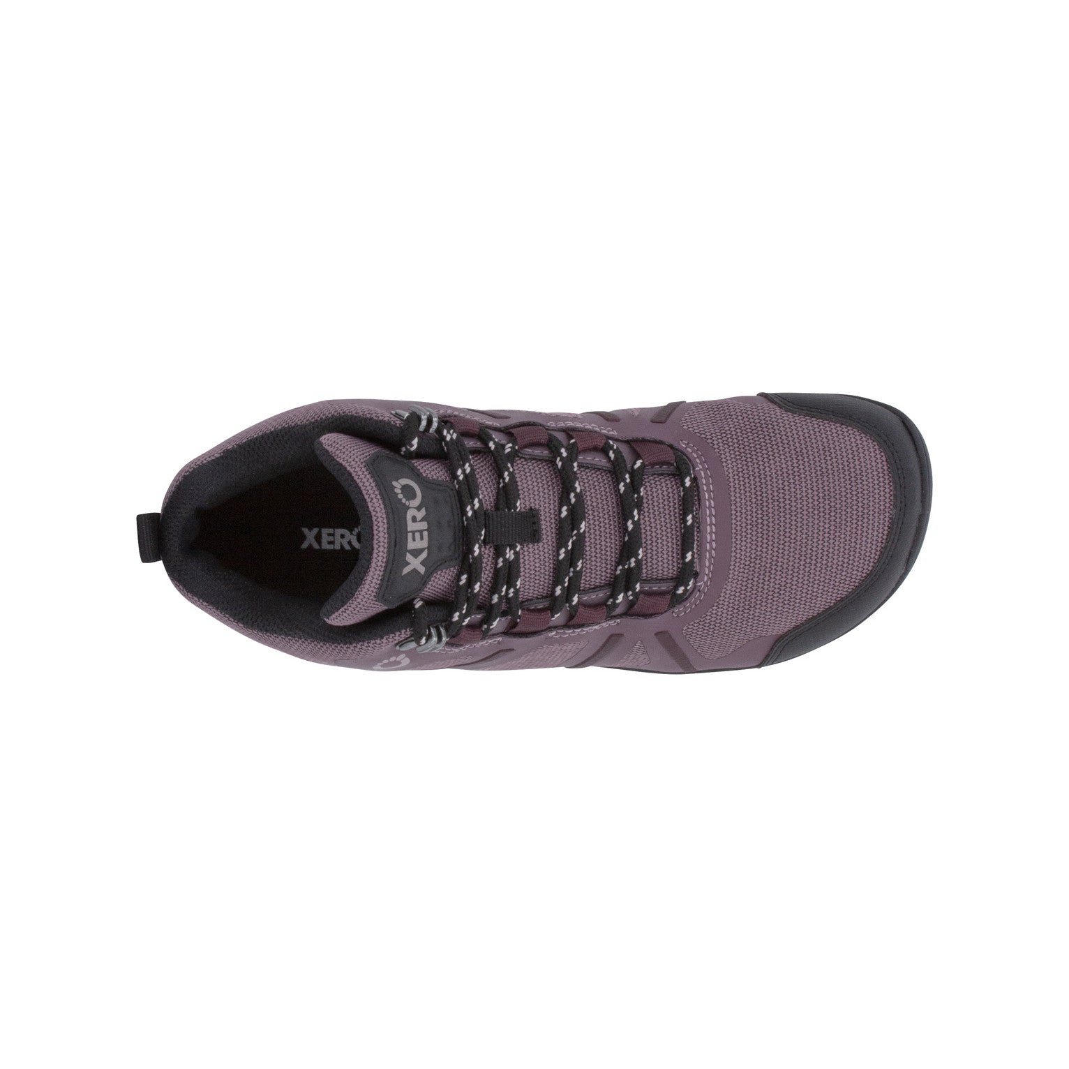 Daylite Hiker Fusion Barfußschuhe für Damen in Mulberry aus der Perspektive von oben, perfekt für Wanderungen und Outdoor-Abenteuer. Erhältlich in unserem Onlineshop für Barfußschuhe.