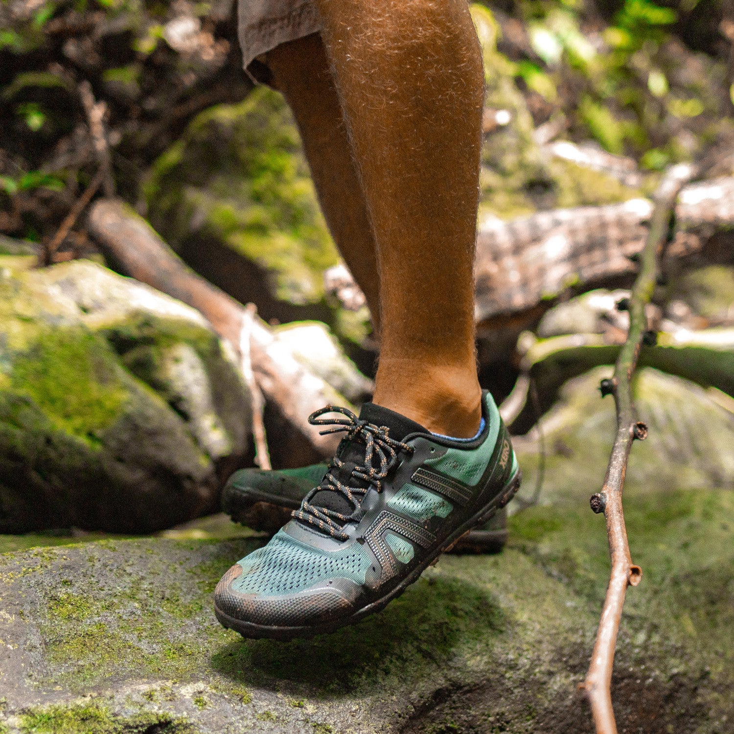 Xero Shoes Mesa Trail II Herren Barfußschuhe in Forest, als Wanderschuhe am Fuß im Onlineshop für Barfußschuhe