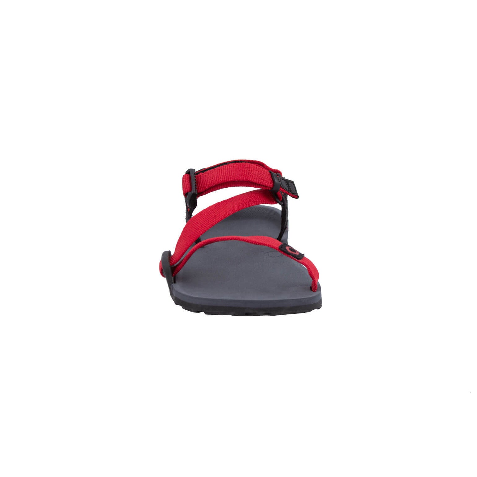 Xero Shoes Z-Trail Kids Charcoal Red Pepper Barfußschuhe Sandalen für Kinder, Frontansicht im Onlineshop für Barfußschuhe