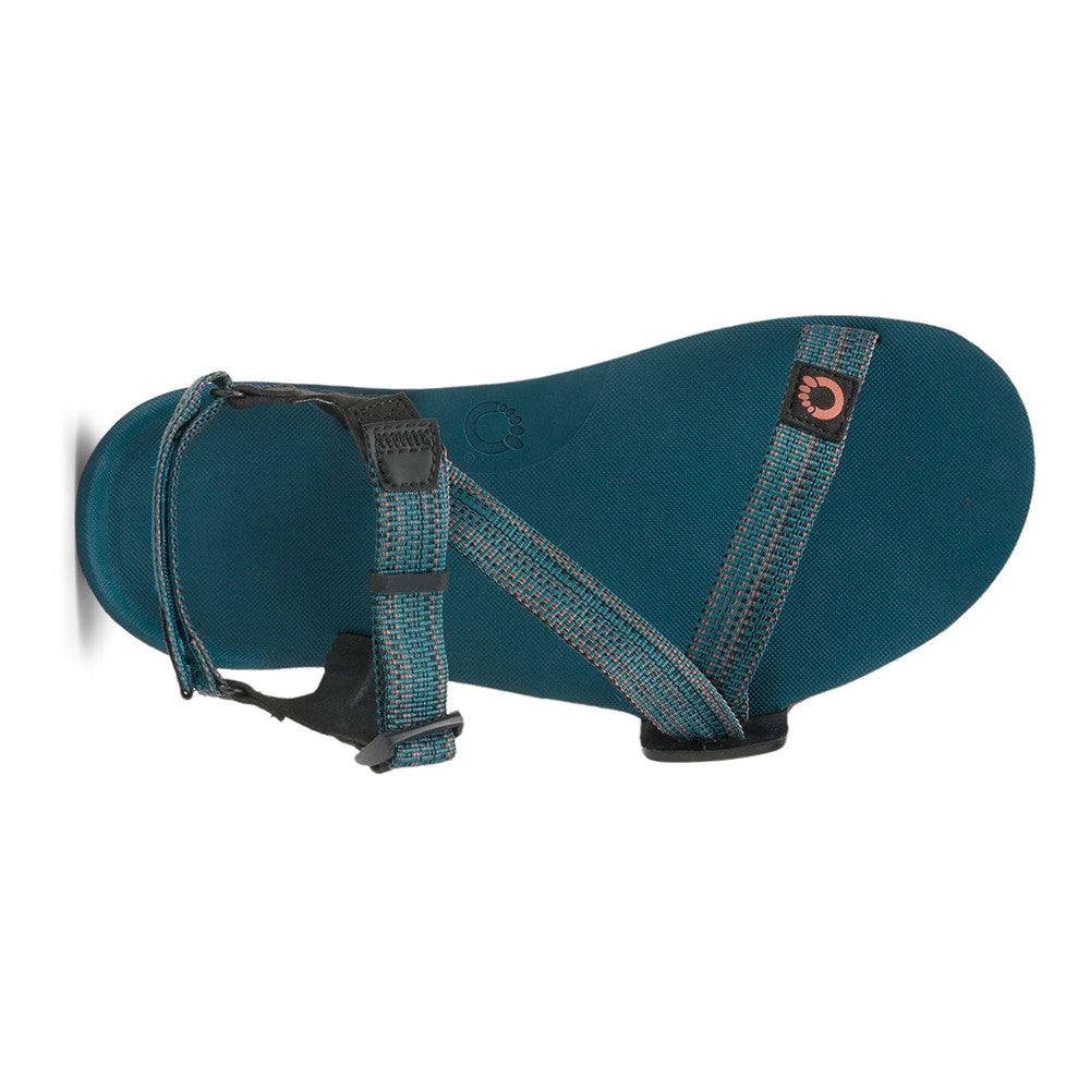 Xero Shoes Z Trail EV Barfußsandalen für Herren in deep lagoon aus der Top-Ansicht im Onlineshop für Barfußschuhe