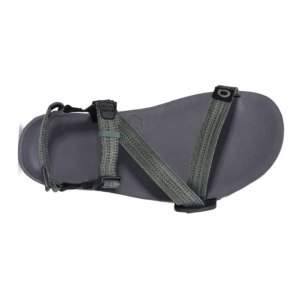 Xero Shoes Z Trail EV Barfußsandalen für Herren in vetiver green aus der Top-Ansicht im Onlineshop für Barfußschuhe