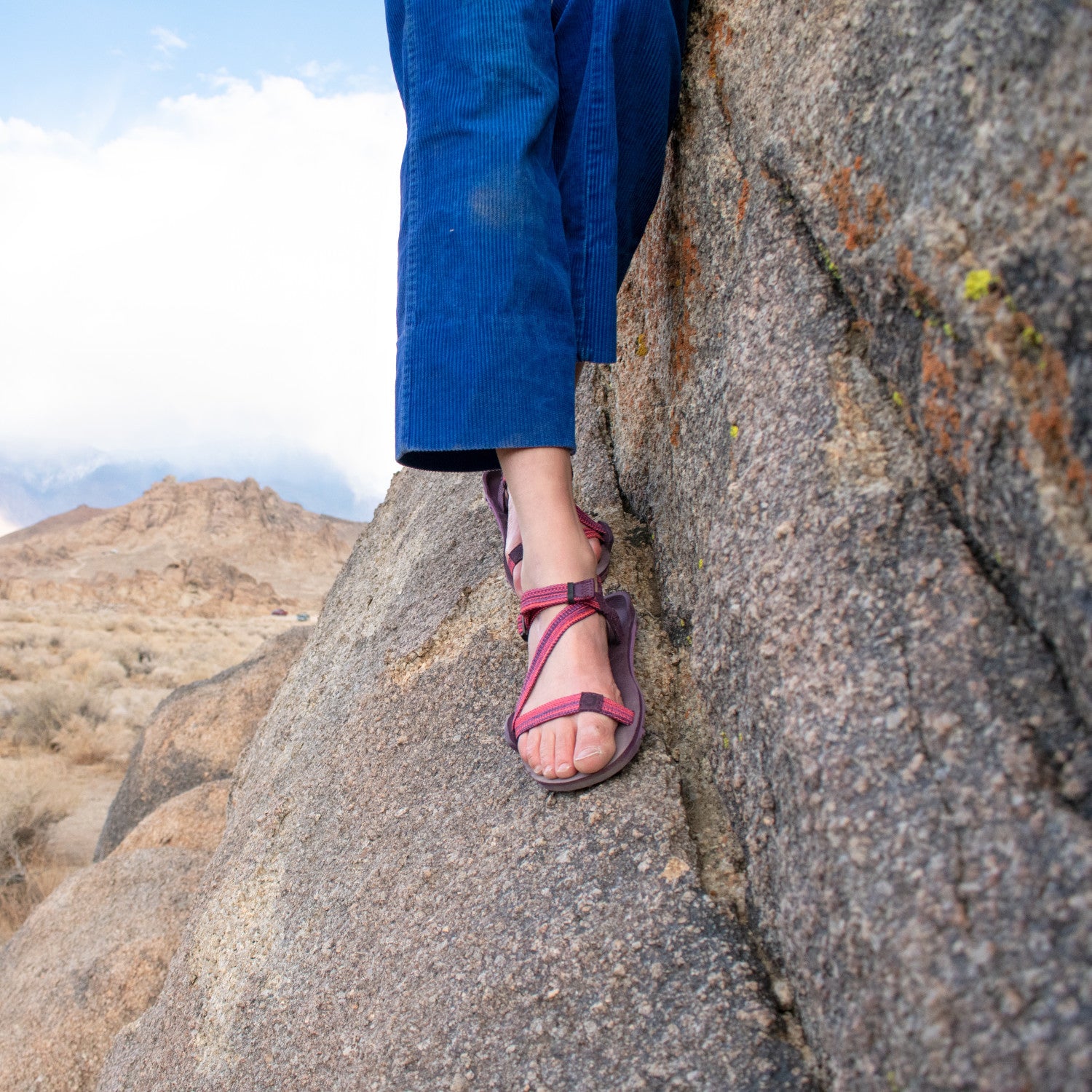 Xero Shoes Z-Trail EV Magenta Barfußsandalen für Damen, am Fuß im Onlineshop für Barfußschuhe zu sehen