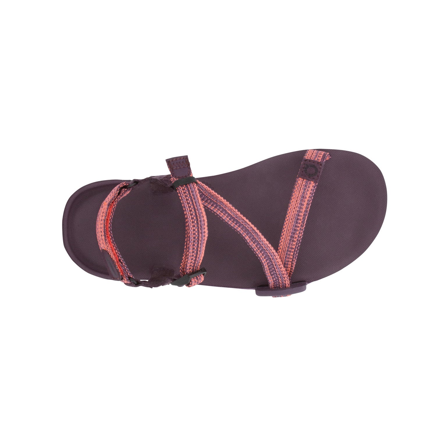 Xero Shoes Z-Trail EV Barfußsandalen für Damen in Magenta, Ansicht von oben im Onlineshop für Barfußschuhe