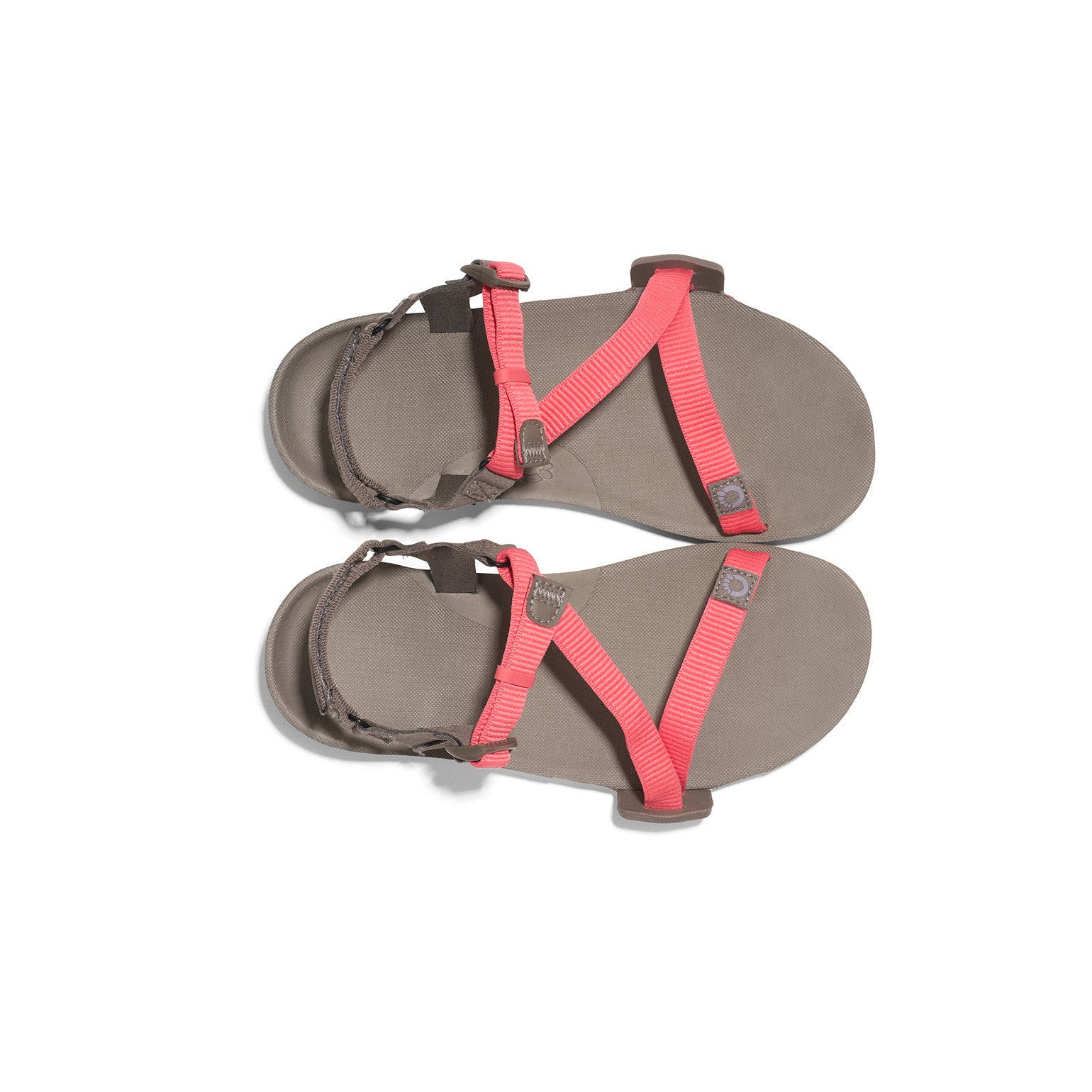 Barfußsandalen Xero Shoes Z-Trail EV Damen in Sunset Coral, Top-Ansicht, ultraleicht und flexibel, ideal für Trekking und unseren Onlineshop.