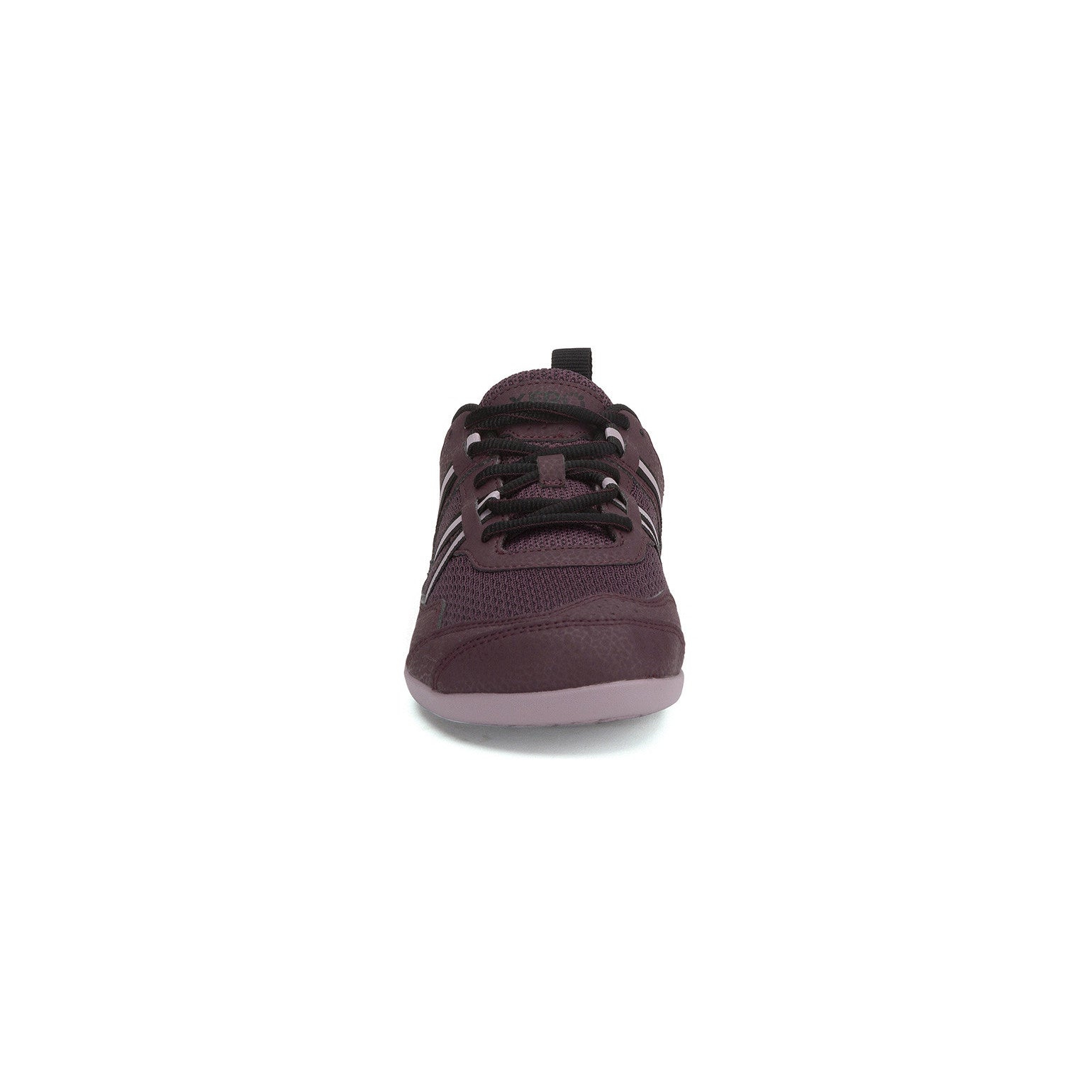Xero Shoes Prio Barfußschuhe für Damen in Elderberry, Vorderansicht im Onlineshop für Barfußschuhe